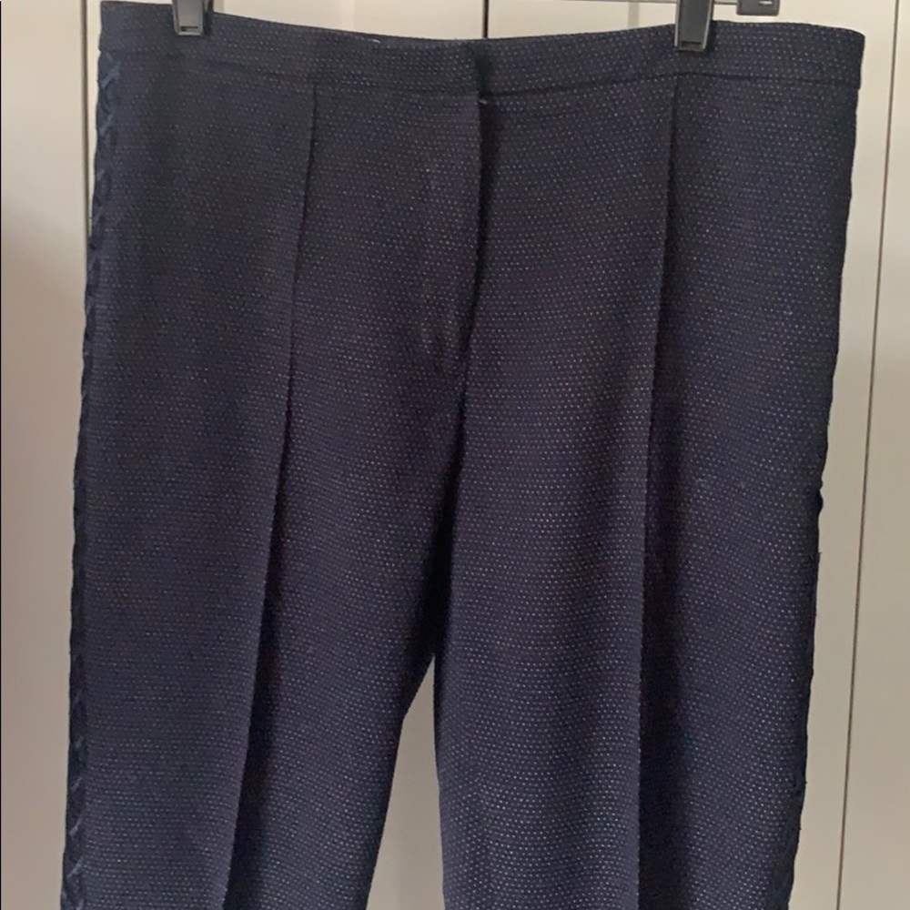 Tahari fashion dress pants.